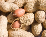 Le Livret A rapporte peanuts en 2020
